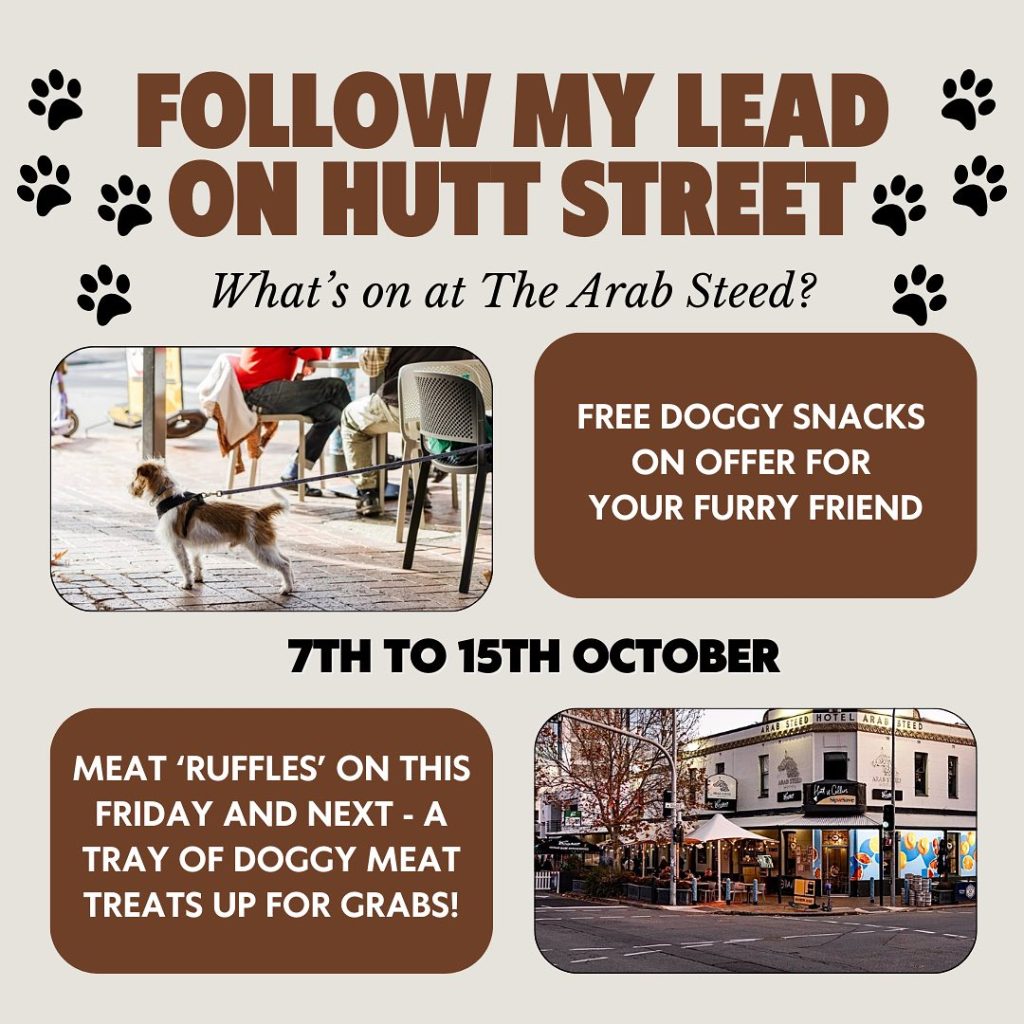 Follow my lead on Hutt Street